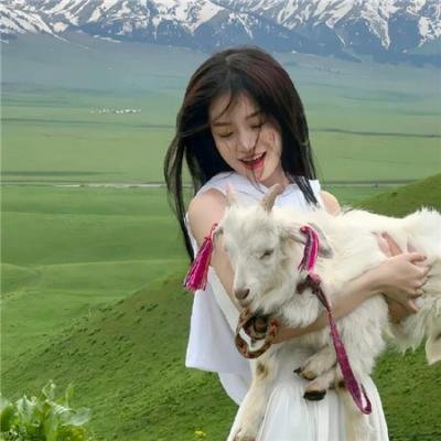 码头告白纪